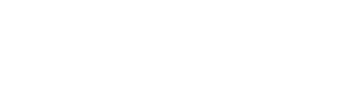 Bravo Capital Partners canvass logo